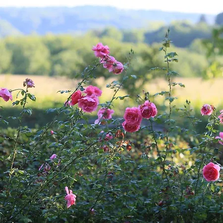 La Ferme Fleurie *