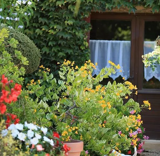 Inn La Ferme Fleurie La Roque-Gageac